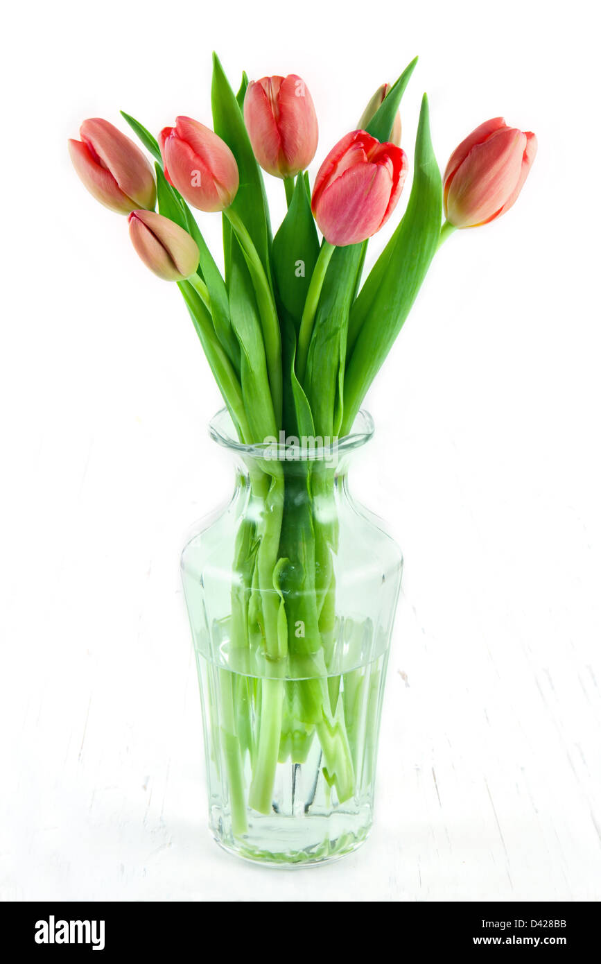 Tulipani rossi in un vaso bianco su sfondo di legno Foto Stock