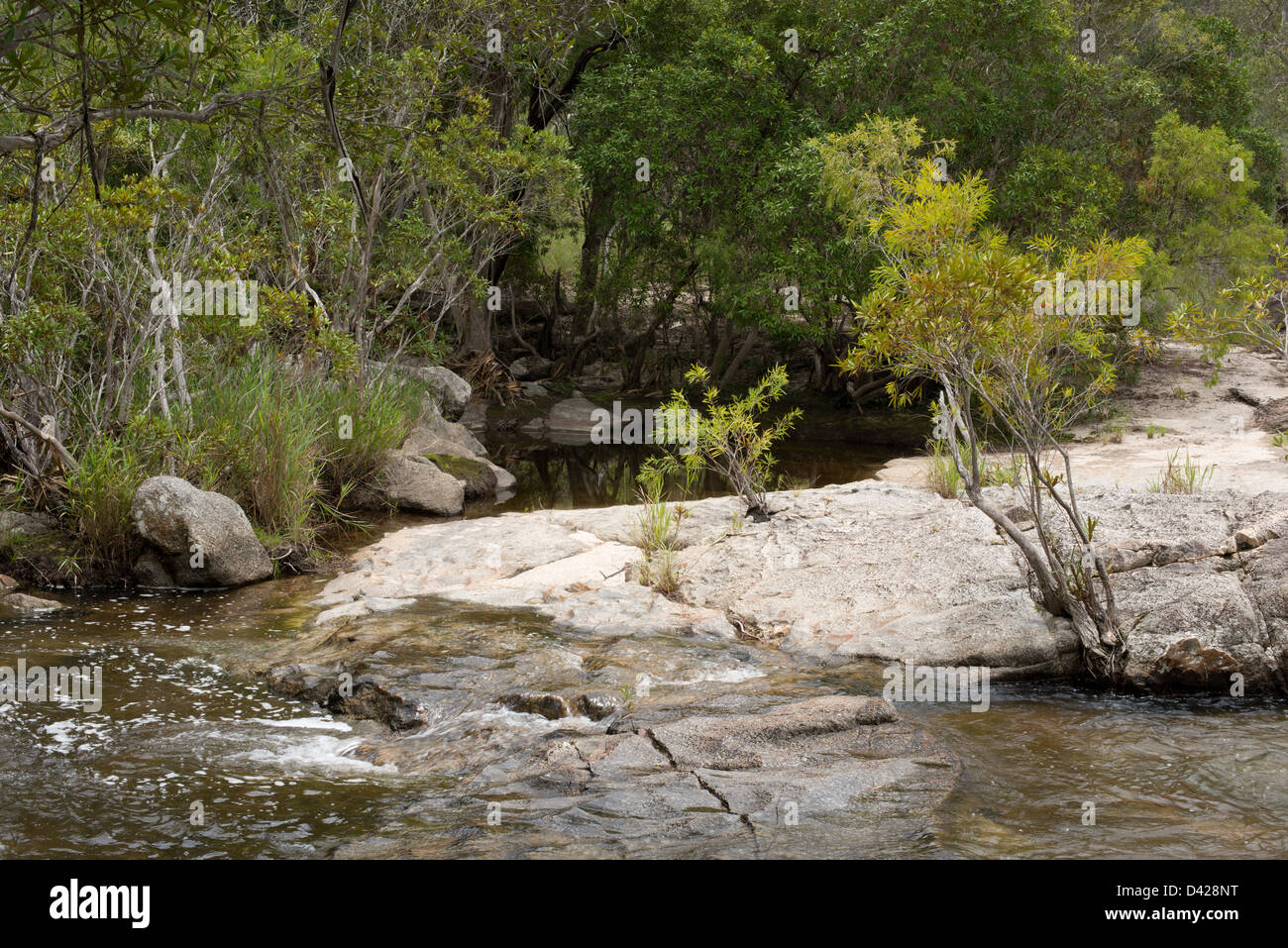 Davies Creek nei pressi di Mareeba Aeroporto, estremo Nord Queensland, Australia Foto Stock