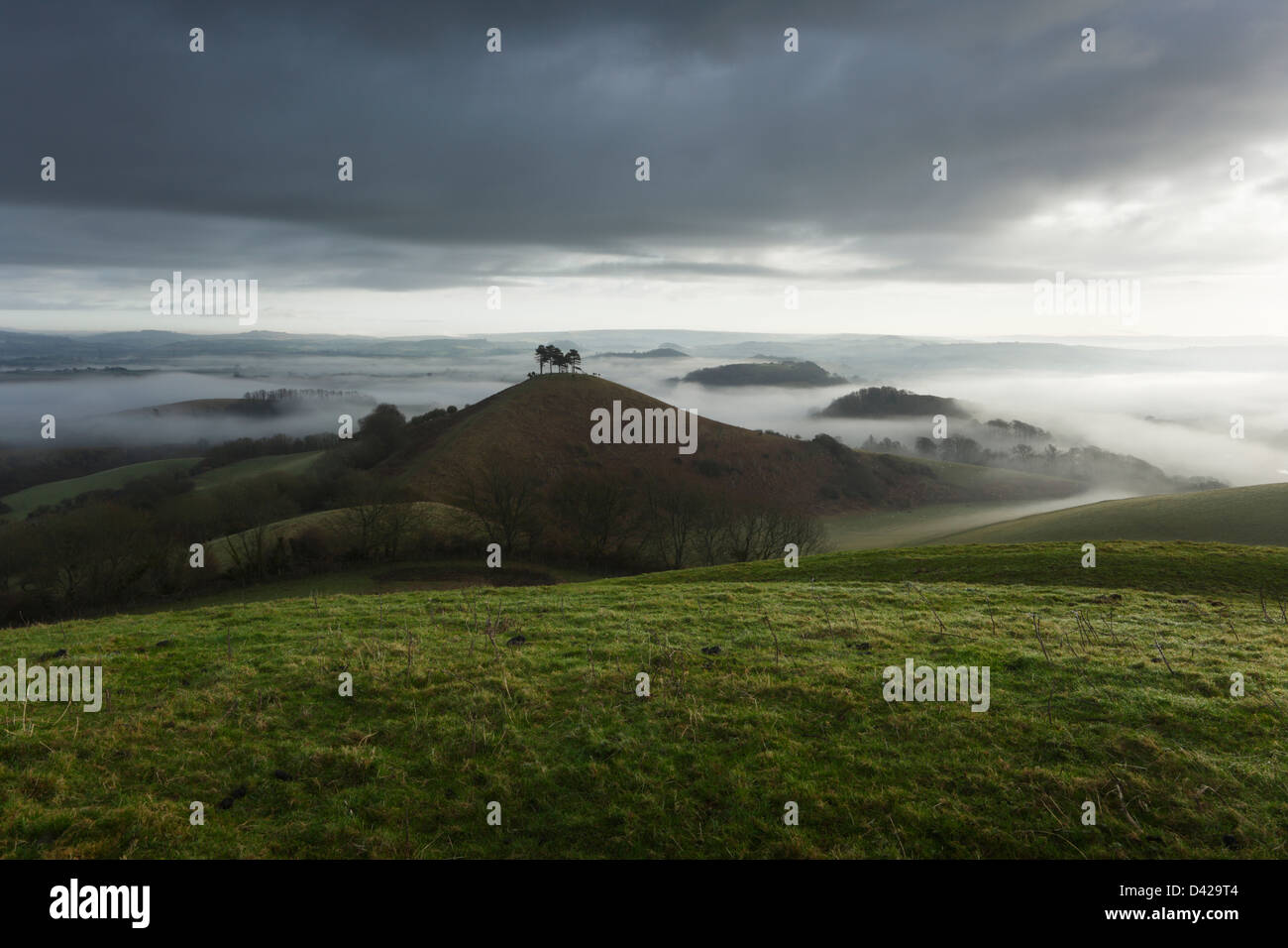 Colmer's Hill e il Marshwood Vale nella nebbia di mattina. Il Dorset. In Inghilterra. Regno Unito. Foto Stock