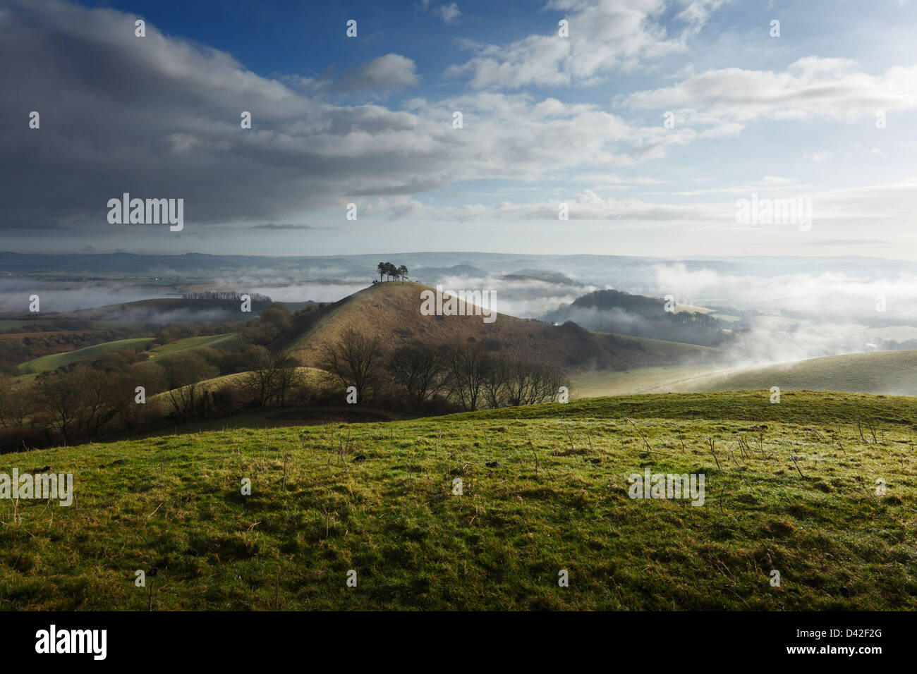 Mist clearing Colmer's Hill e il Marshwood Vale. Il Dorset. In Inghilterra. Regno Unito. Foto Stock