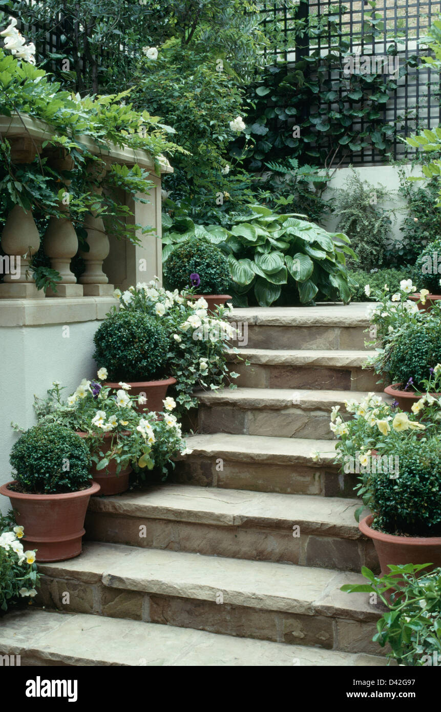 Pentole di casella ritagliata e bianco nelle petunie sui gradini di pietra in lussureggianti piantati seminterrato giardino Foto Stock