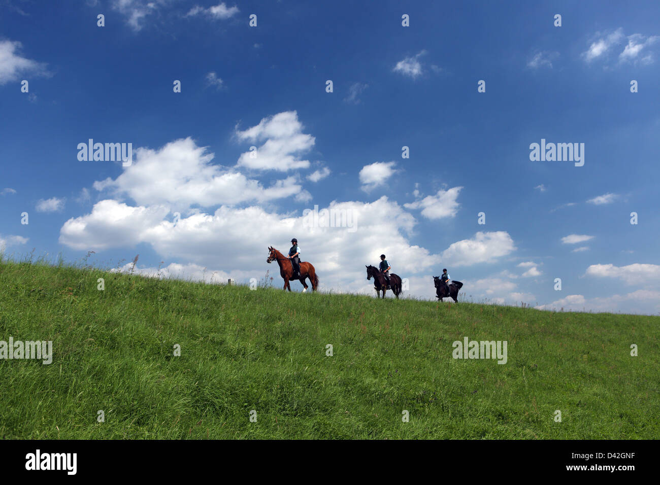 Graditz, Germania, cavalli e cavalieri a cavallo Foto Stock