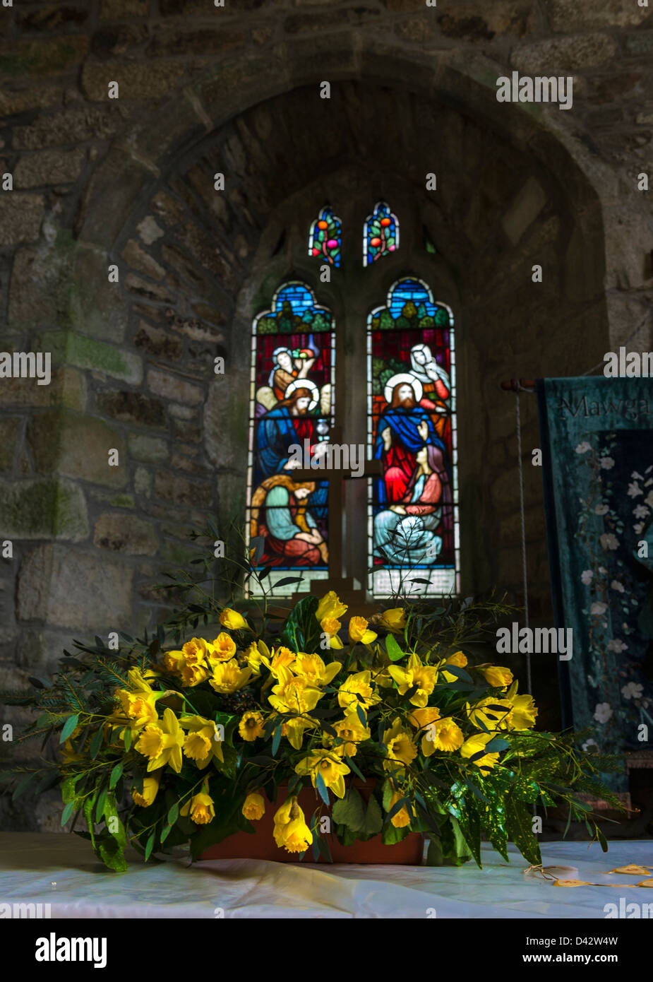 Il Daffodil Festival a San Mawgan-in-Meneage chiesa in Cornovaglia. Foto Stock