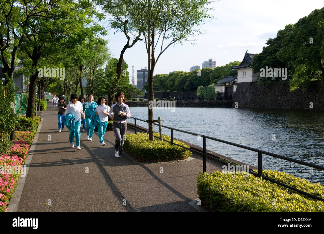 Per gli amanti del jogging femmina facendo giri intorno a 5 chilometro fossato esterno che circonda Corso Palazzo Imperiale, sito del vecchio castello di Edo in Tokyo. Foto Stock