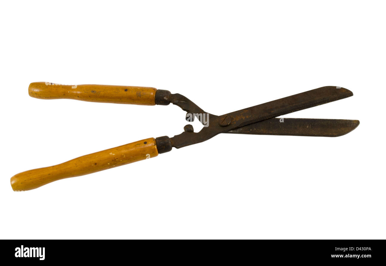 Retro giardino tagliasiepi clippers strumento forbici con manico in legno isolato su sfondo bianco Foto Stock