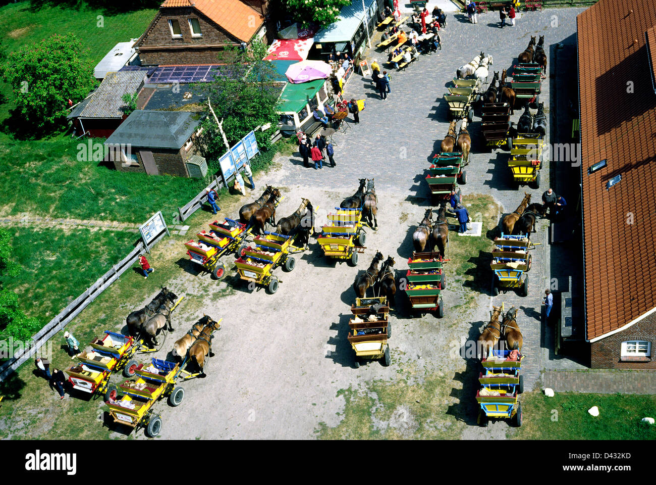 Carrozze trainate da cavalli (Wattwagen) a Amburgo Isola di Neuwerk dopo un viaggio attraverso il nord tedesco velme. Foto Stock