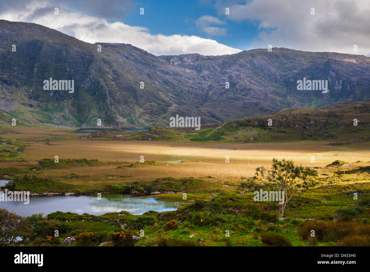 Cloon Lough, nella contea di Kerry e le pendici occidentali del monte Mullaghanattin mostrando i letti di immersione del Devoniano vecchia arenaria rossa Foto Stock