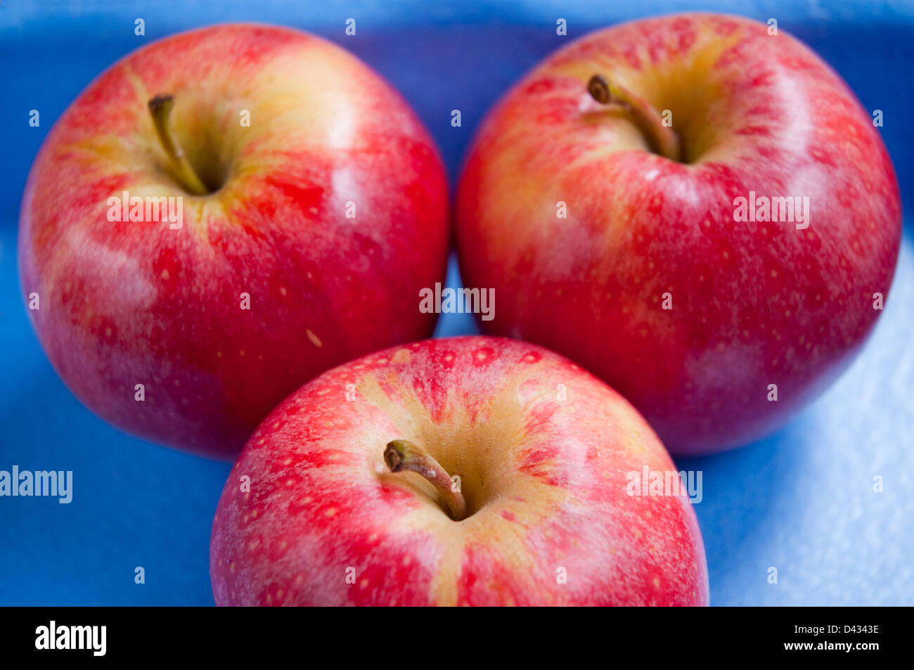 Tre mele rosse. Chiudere la vista. Foto Stock