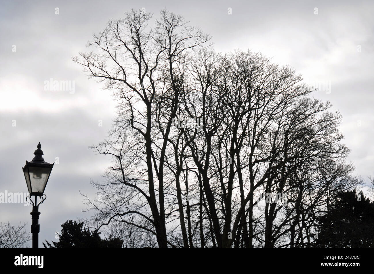 Paesaggio invernale nel centro della città di Maidstone Kent Foto Stock