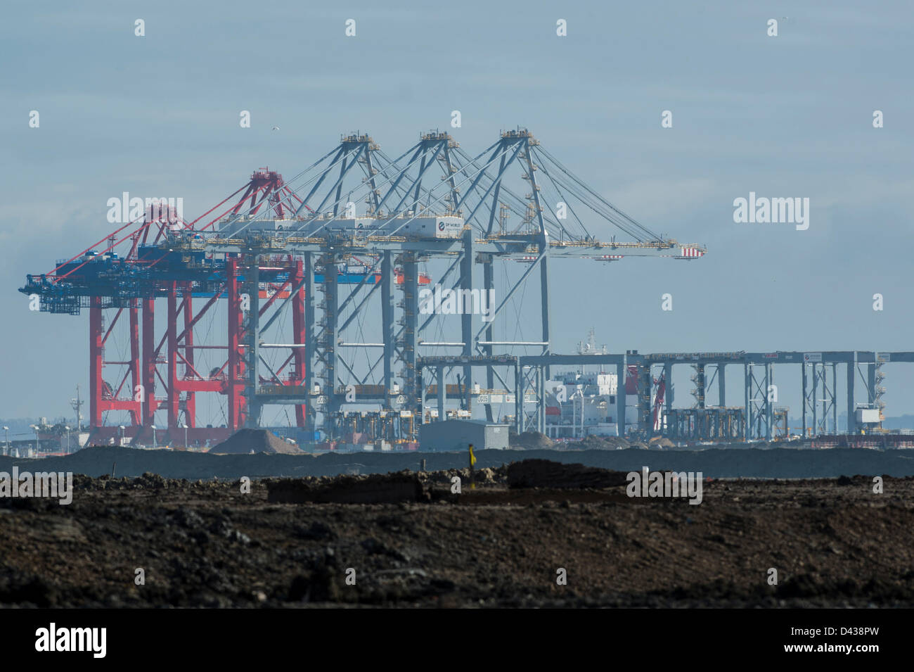 DP London Gateway, Coryton, Essex, Regno Unito. Il 3° marzo 2013. Una serie di enormi gru arriva su una nave a quello che sarà il più grande del Regno Unito, contenitore porta a causa di aprire entro la fine di quest'anno. La massiccia gru sono i primi ad arrivare e sono state costruite da Shanghai Zhenhua Heavy Industries in Cina. Ciascuno è oltre 138m alta e la torre sopra il paesaggio sul Fiume Tamigi. Essi sono dovuti ad essere messi a terra al porto di domani. Credito: Allsorts Stock Photo/ Alamy Live News Foto Stock