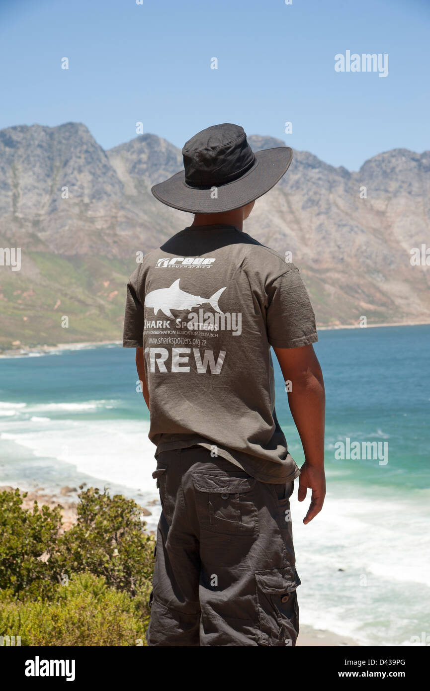 Shark spotter si affaccia sulla baia di Koeel sulla sponda orientale della Baia di False Western Cape Sud Africa shark spotting lookout uomo Foto Stock