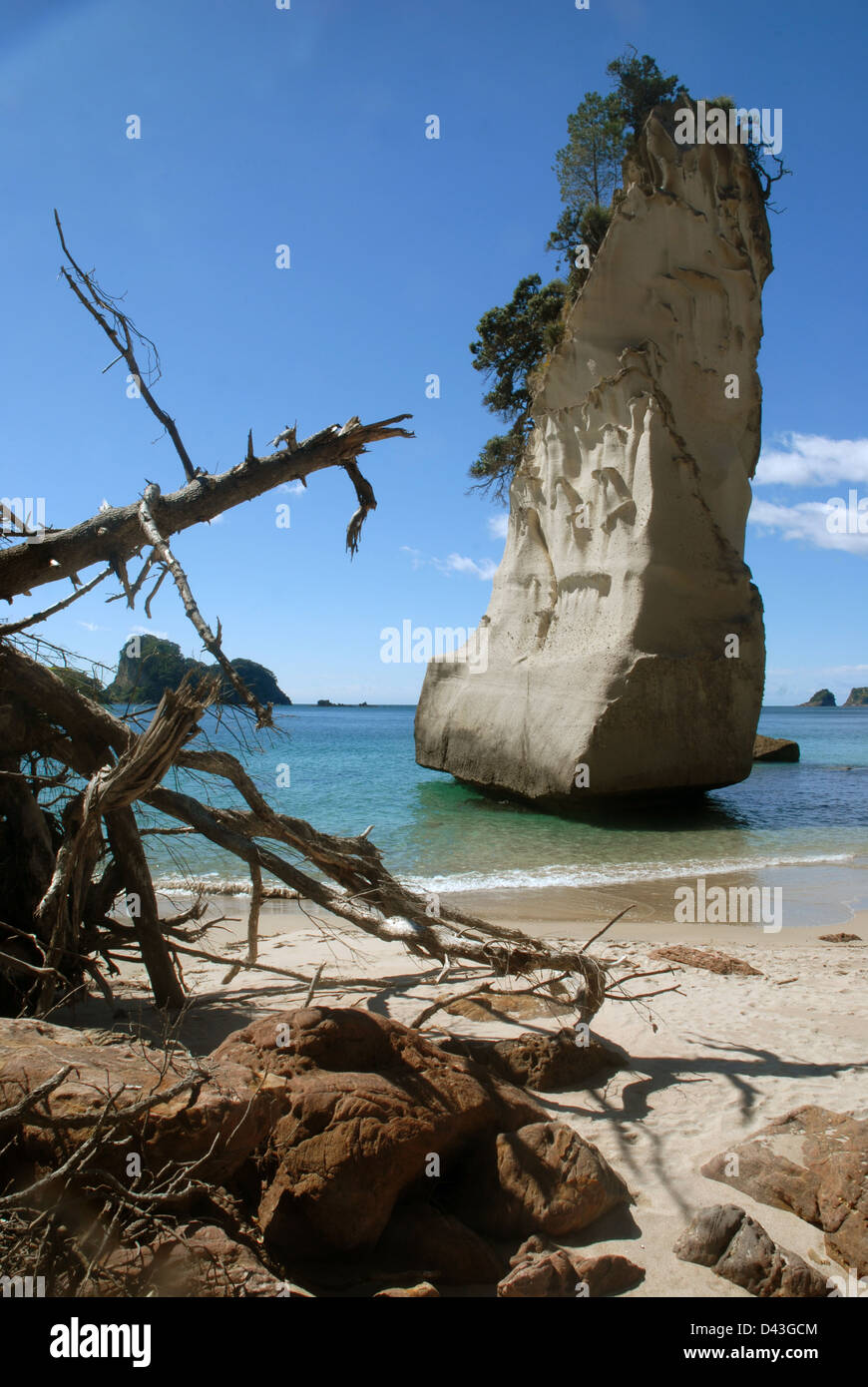 Cattedrale Rock, Spiaggia, Coromandel, Isola del nord, Nuova Zelanda. Foto Stock
