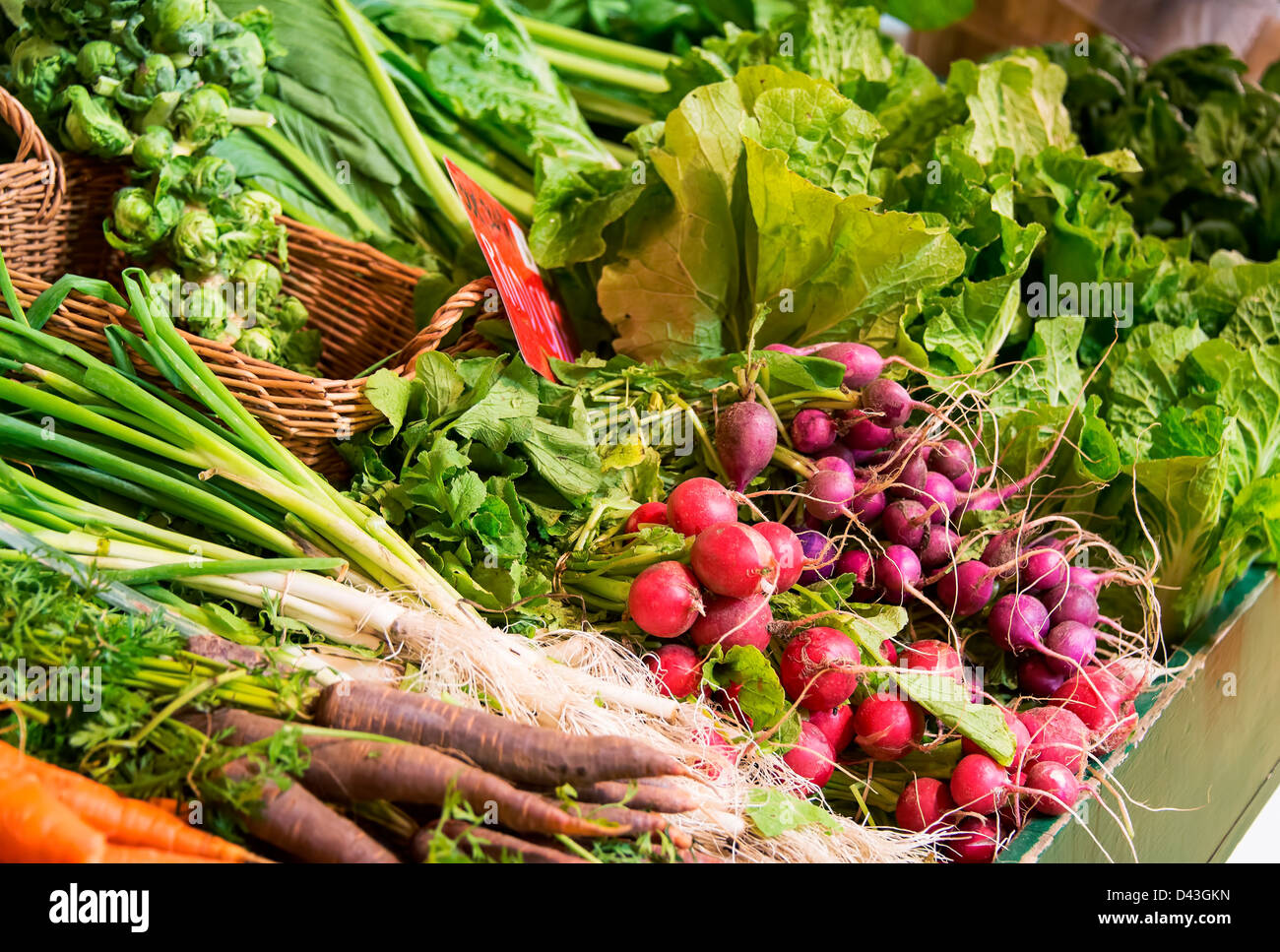 Ortaggi freschi in una fattoria del mercato. Foto Stock