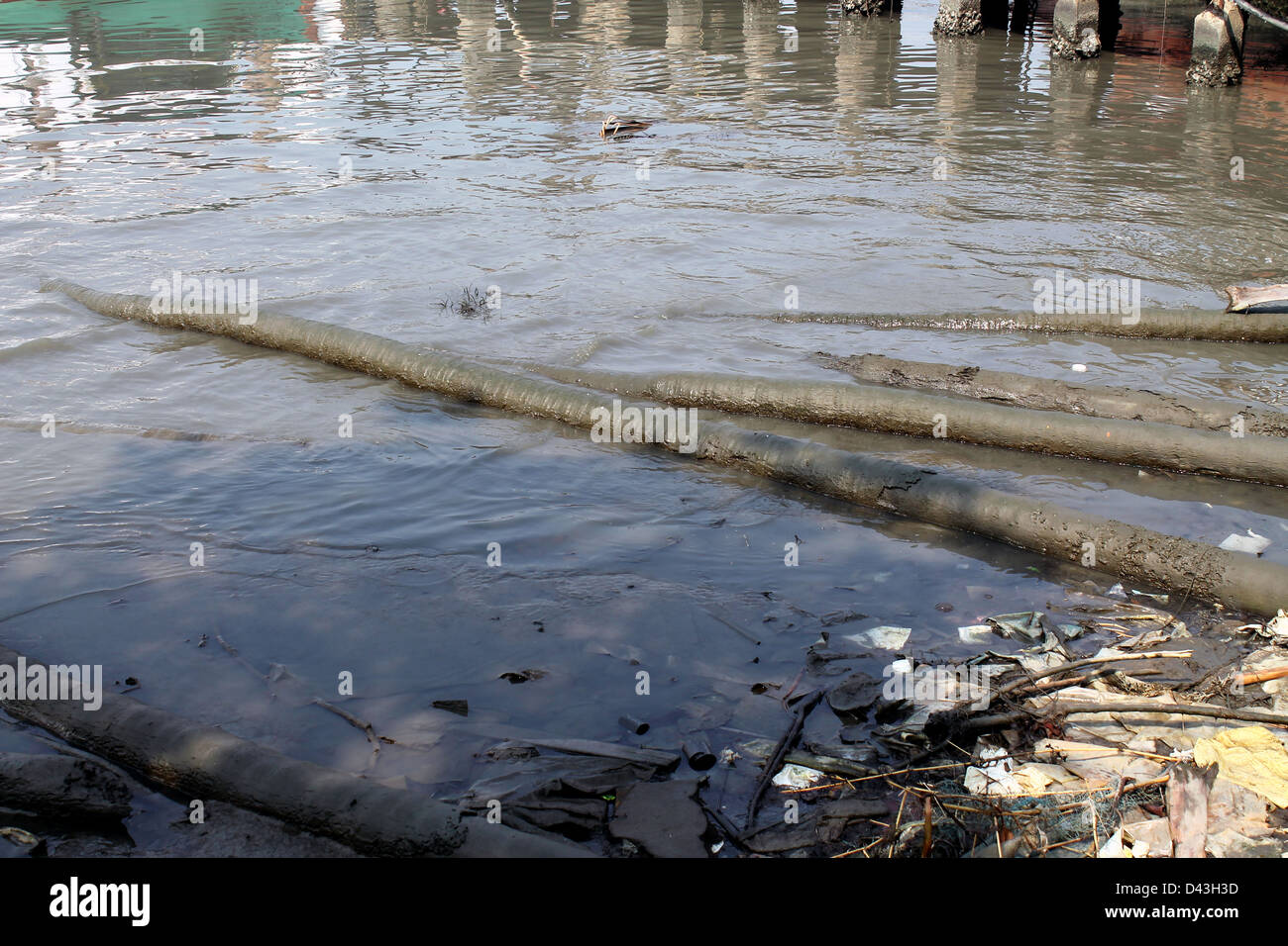 Decaduta a tronchi di legno sul lato lago Foto Stock