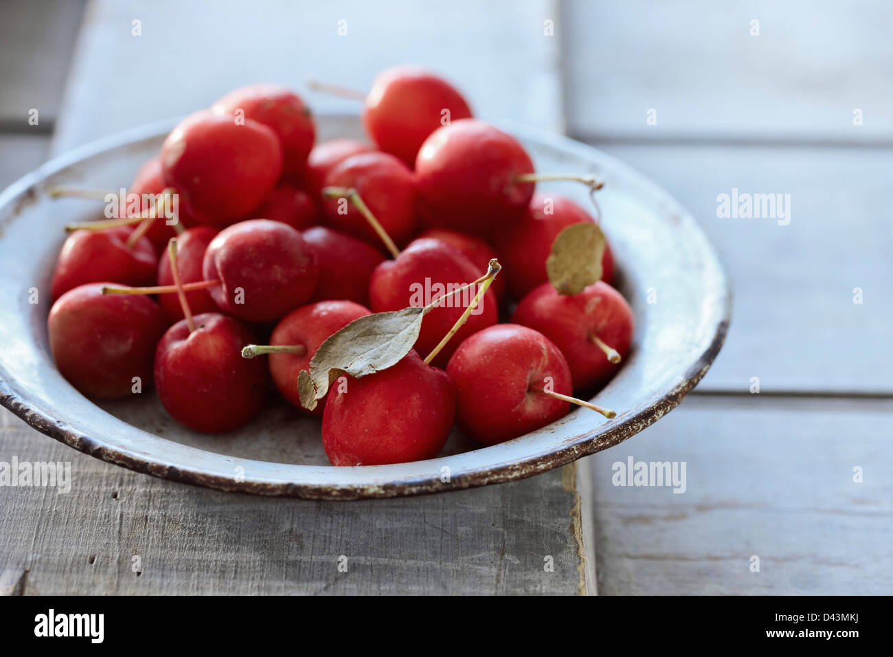 Ciotola di Crabapples Foto Stock