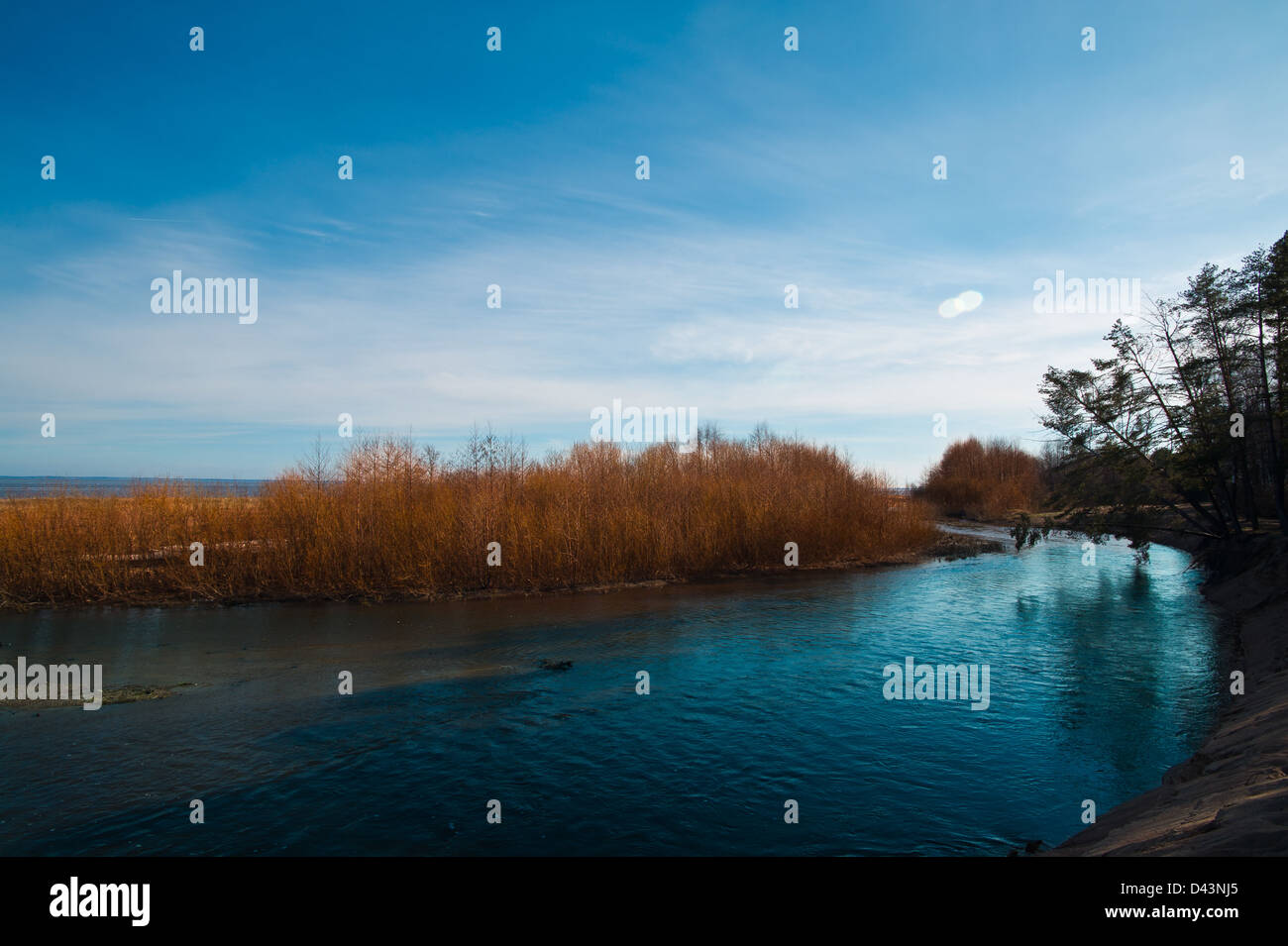 Molla del paesaggio naturale sul golfo vicino al fiume Foto Stock