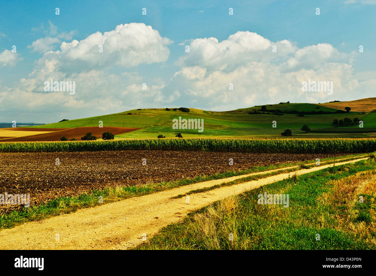 Hegau, Baden-Württemberg, Germania Foto Stock