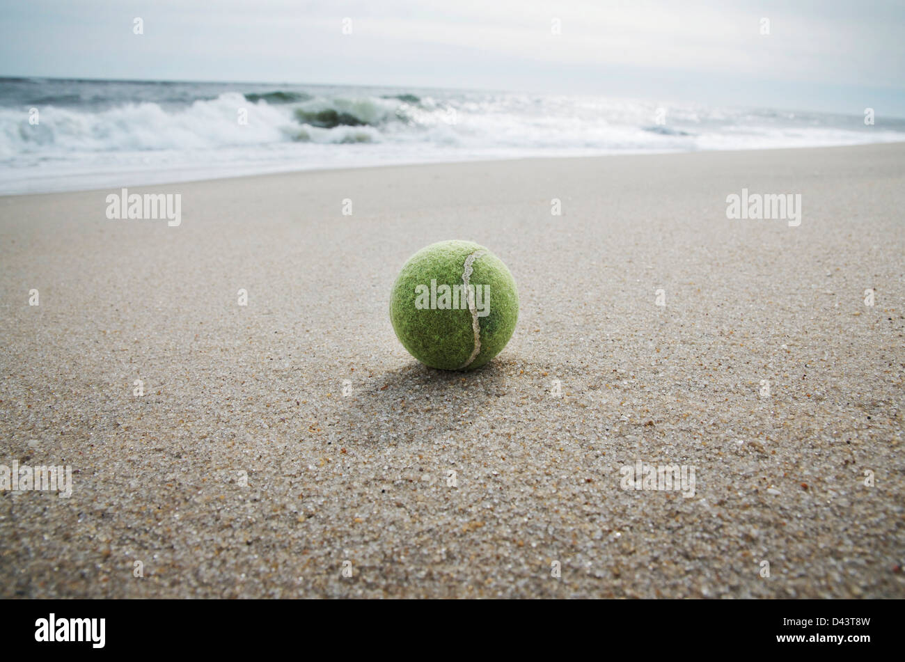 Close-up della palla da tennis lavato fino sulla spiaggia, Point Pleasant, New Jersey, STATI UNITI D'AMERICA Foto Stock