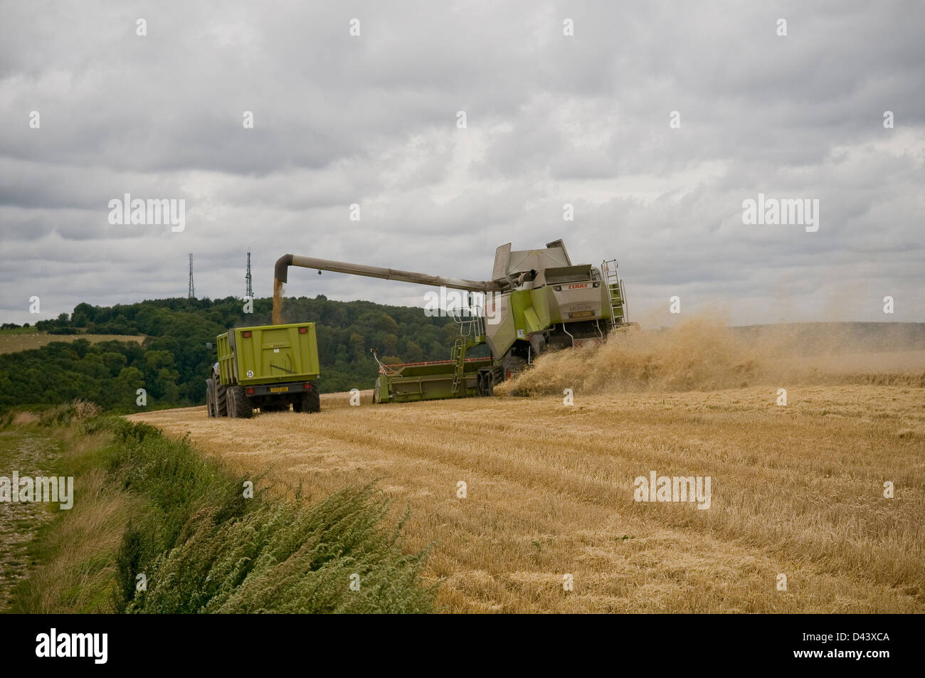 Mietitrice combinato al lavoro sul South Downs, West Sussex, Regno Unito Foto Stock