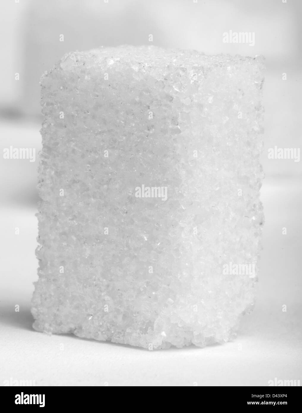 Zollette di zucchero su bianco isolato. Studio shot Foto Stock