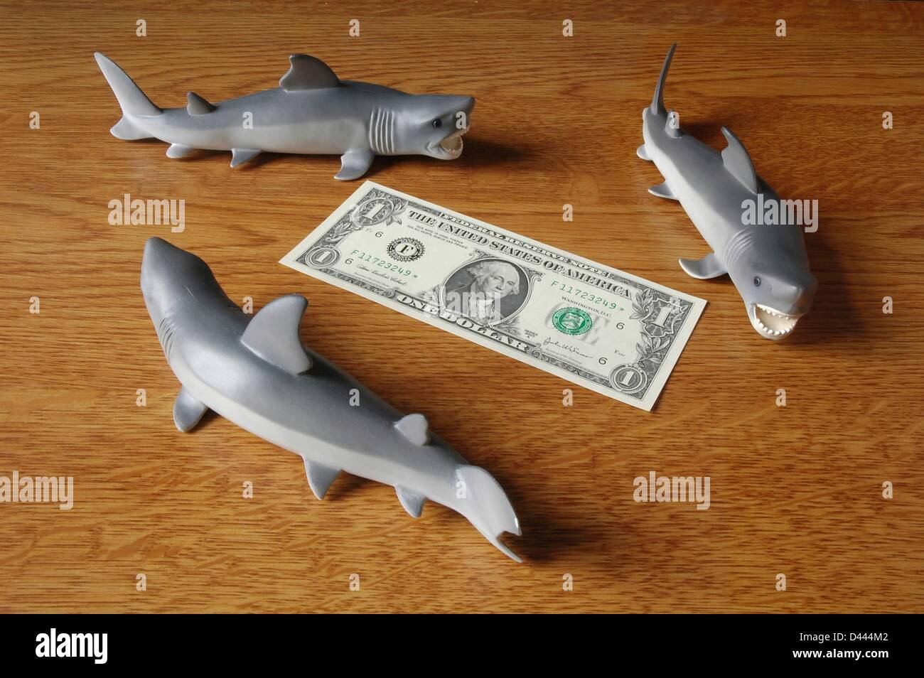 Illustrazione - tre squali in miniatura circondano una legge del dollaro a Berlino, Germania, 5 dicembre 2007. Fotoarchiv für ZeitgeschichteS.Steinach Foto Stock