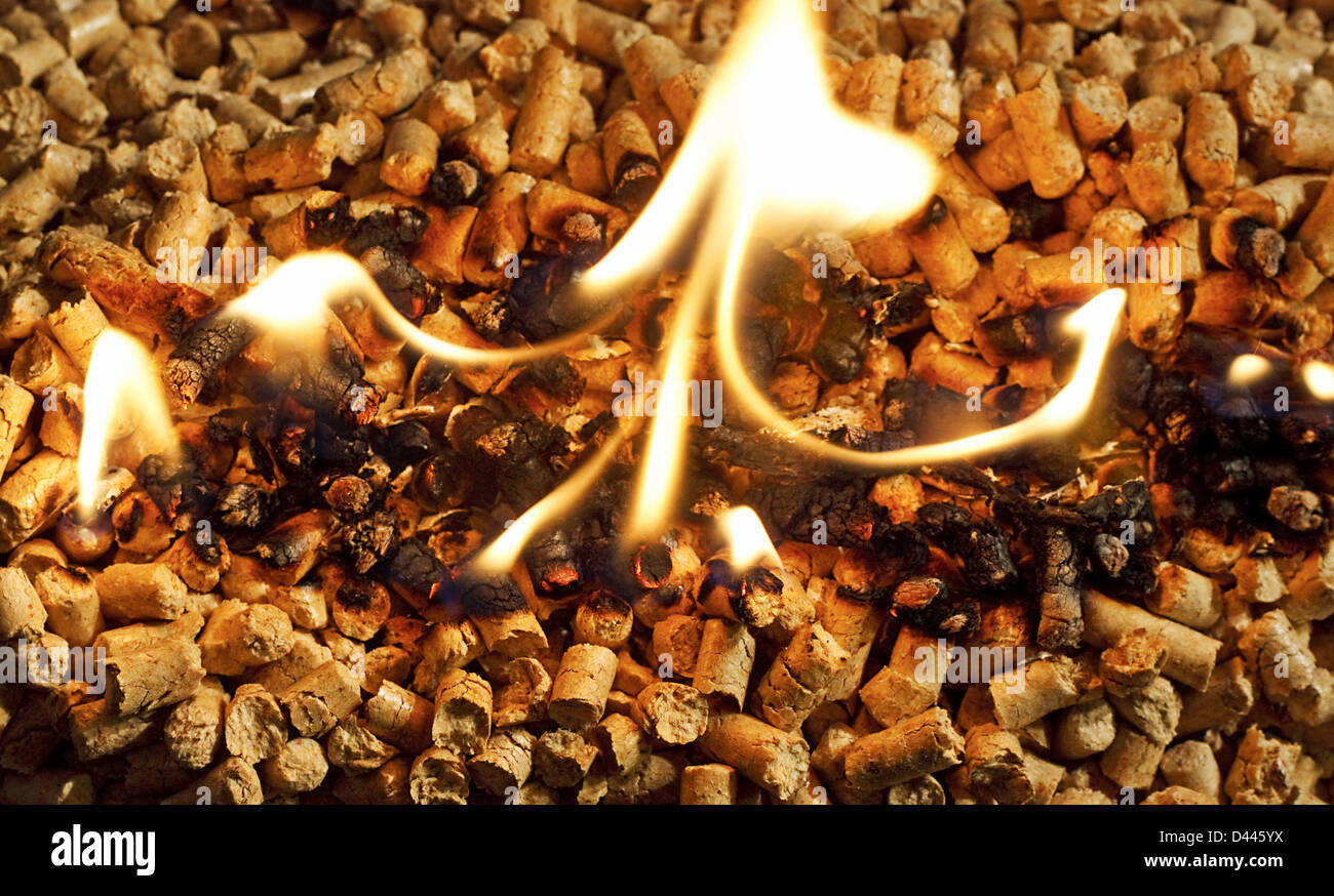 Bruciare biomassa pellet di legno utilizzato come una forma di energia rinnovabile Foto Stock