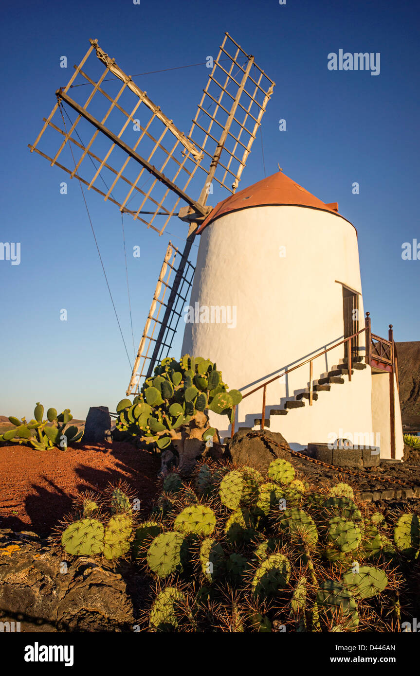 Jardin de Cactus , il giardino dei Cactus, Guatiza, Lanzarote, Isole Canarie, Spagna Foto Stock