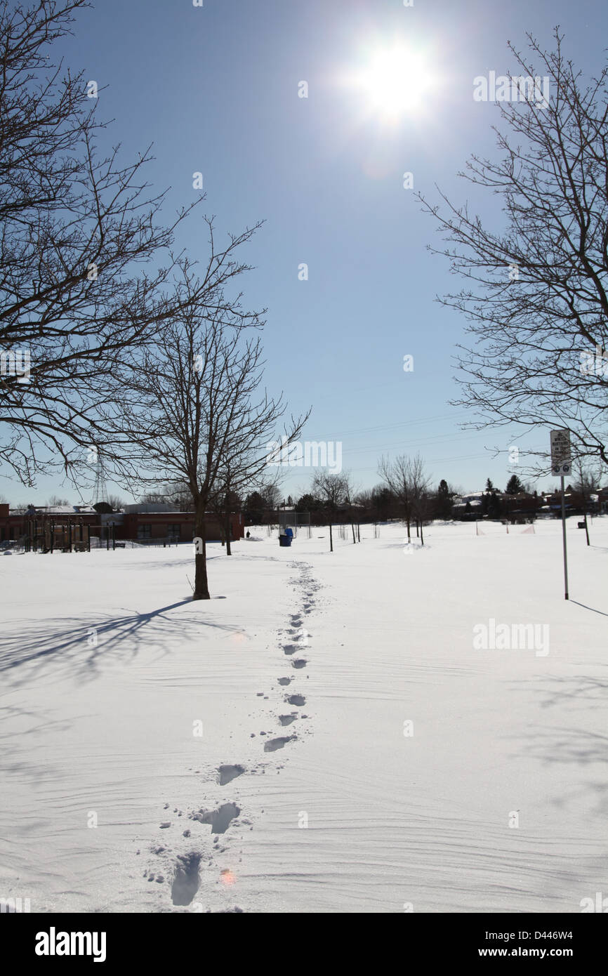 Coperte di neve sole terra cielo blu inverno Foto Stock