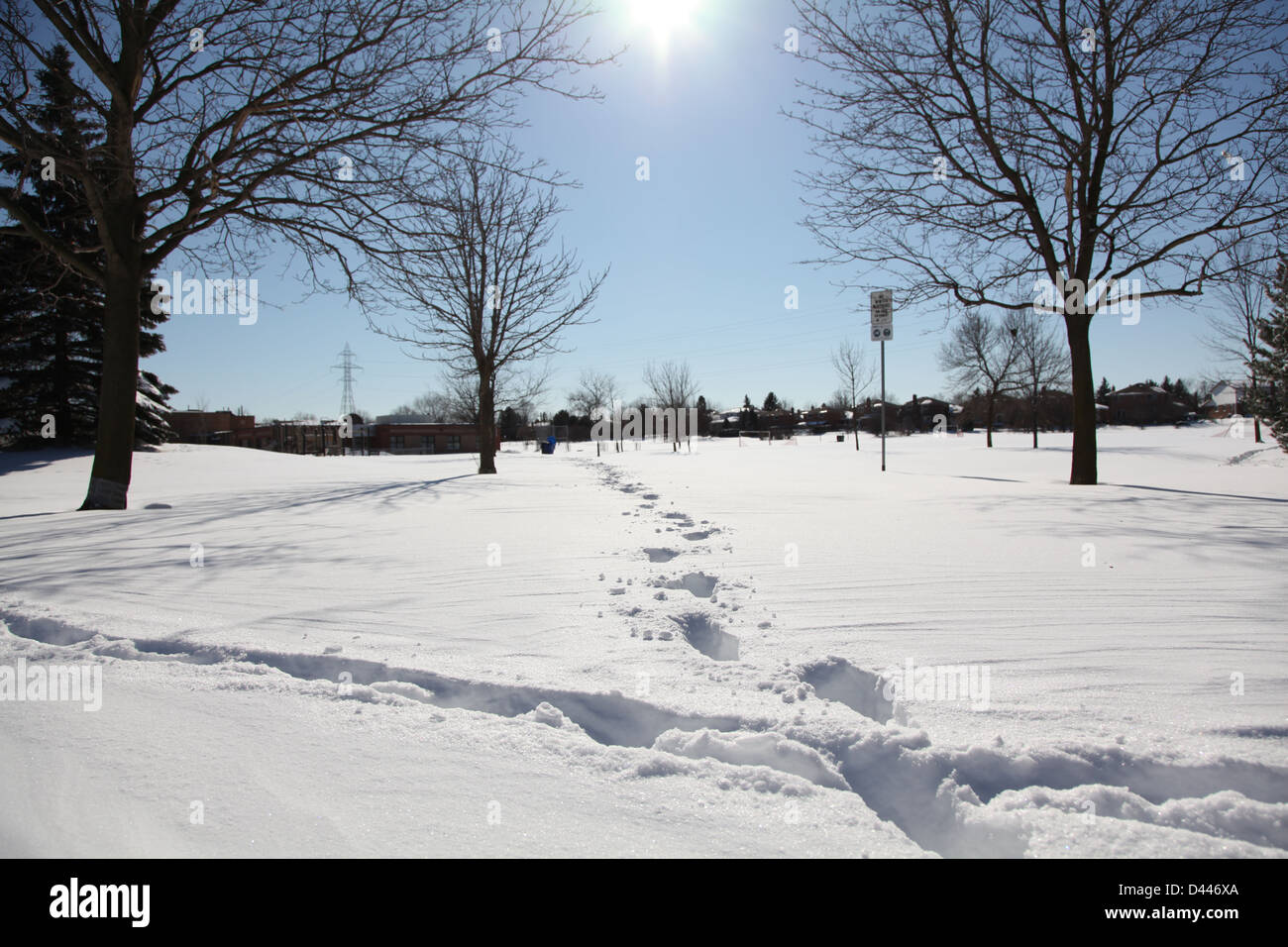 Sunny winter snow blue sky Foto Stock