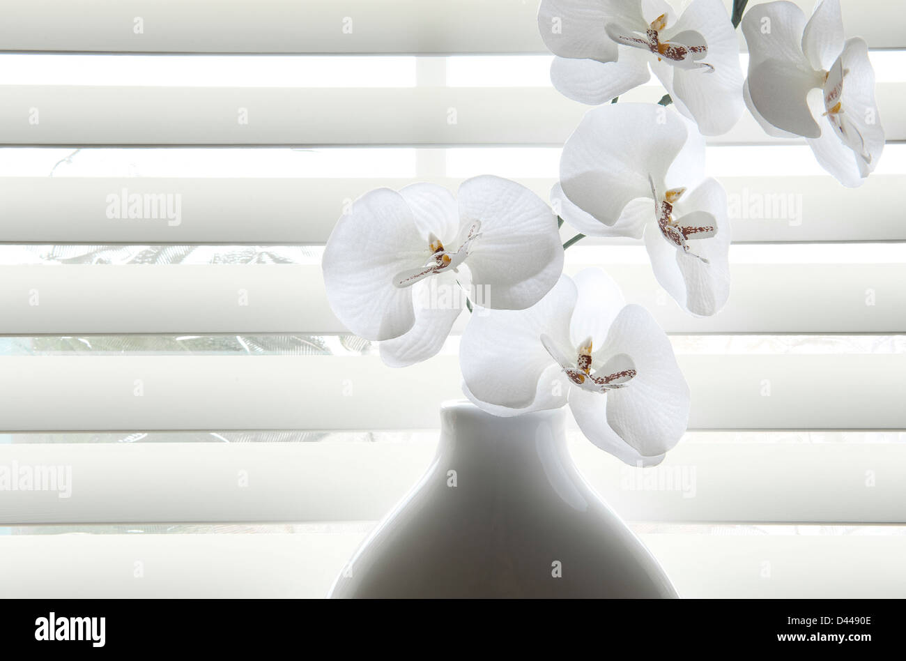 Tessuto artificiale Fiori di orchidea in vaso bianco Foto Stock