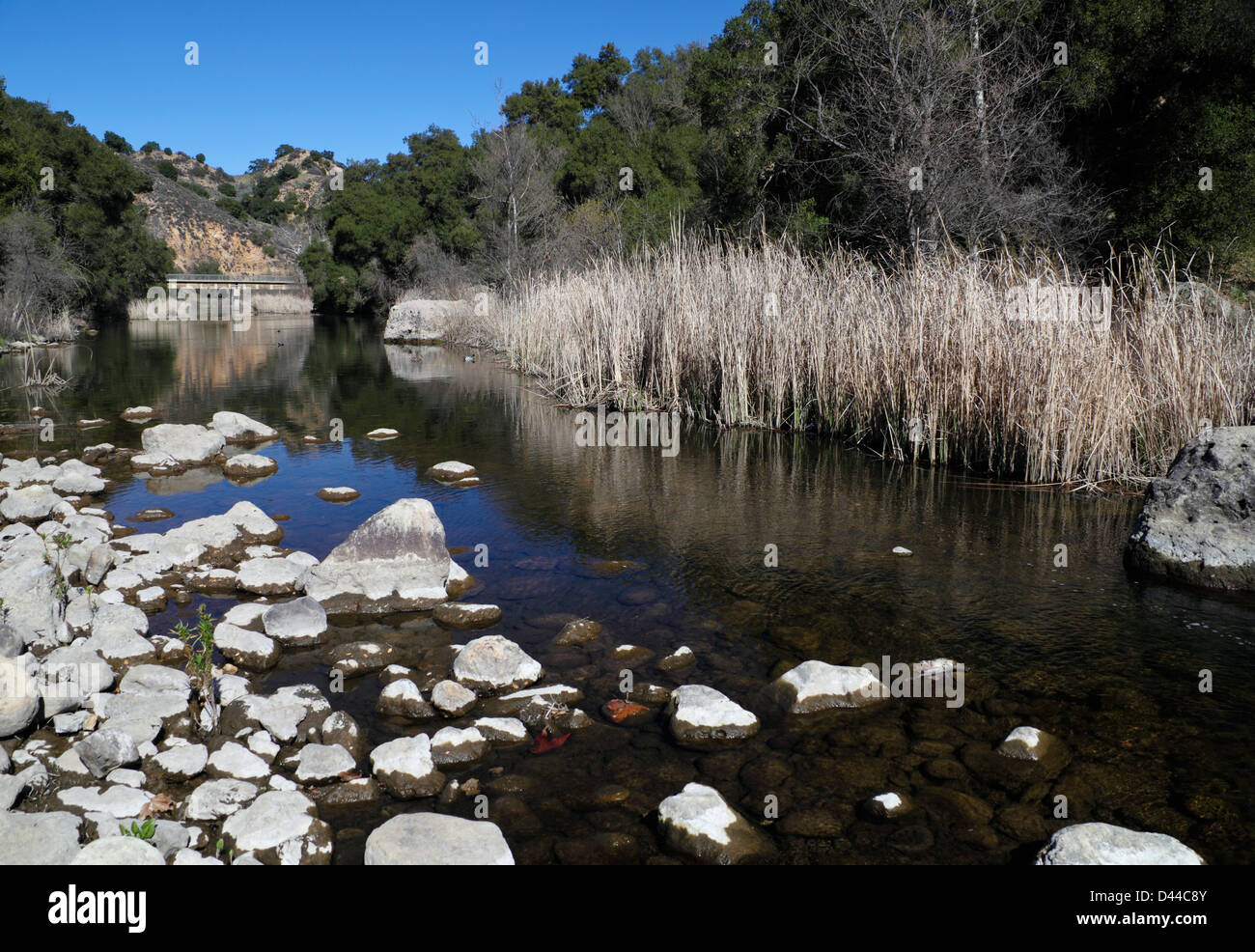 Vista di Malibu Creek a Malibu Creek State Park nel Sud della California come visto dal sentiero per Rock Pool Foto Stock