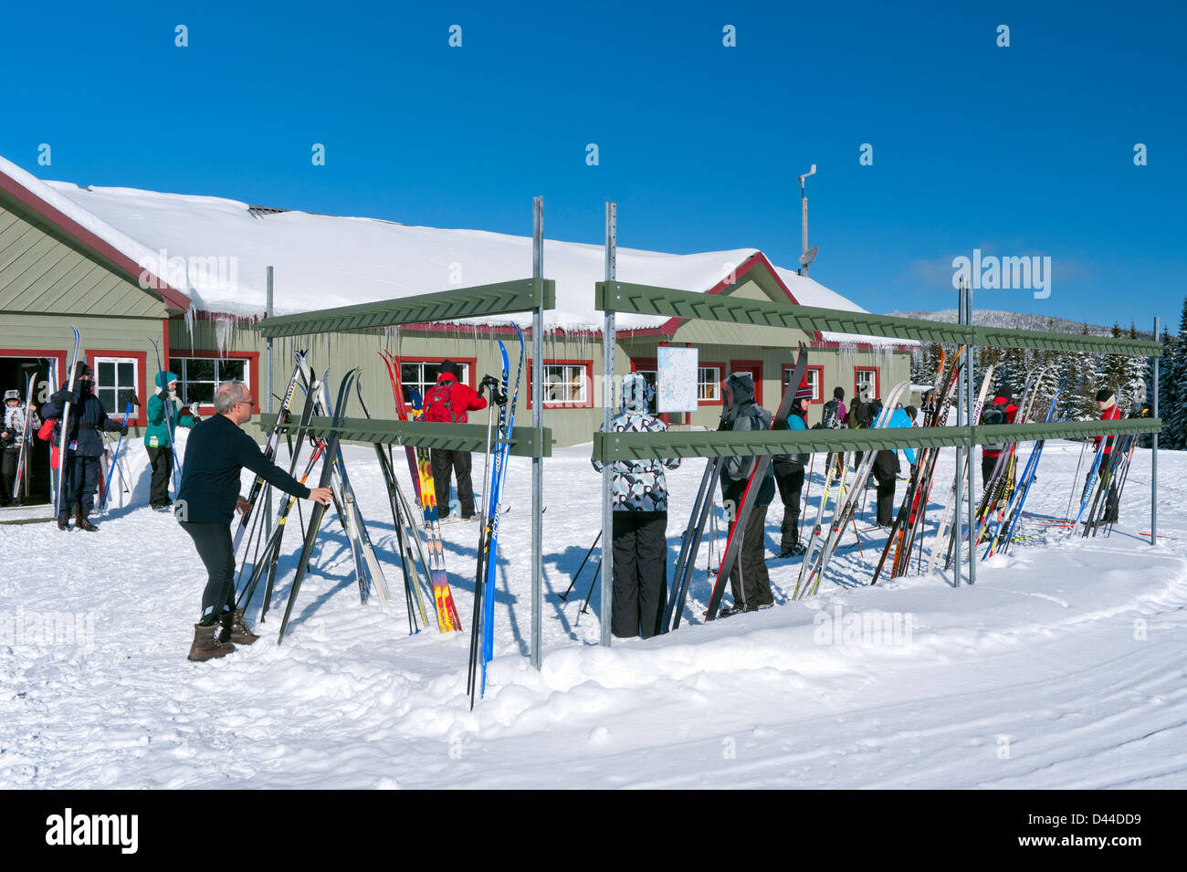 Camp Mercier centro sci fondo, provincia del Québec in Canada. Foto Stock