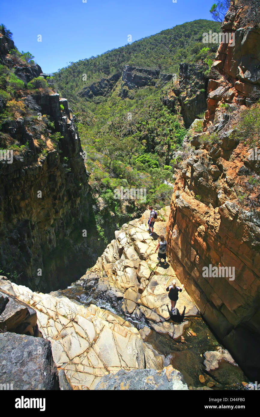 Morialta cade Mt Lofty South Australia Adelaide Hills Foto Stock