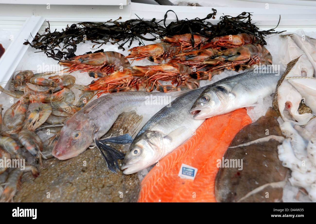 O'Fishly Healthy fishmonger shop St James's Street a Kemp Town Brighton Regno Unito (ora chiuso) Foto Stock