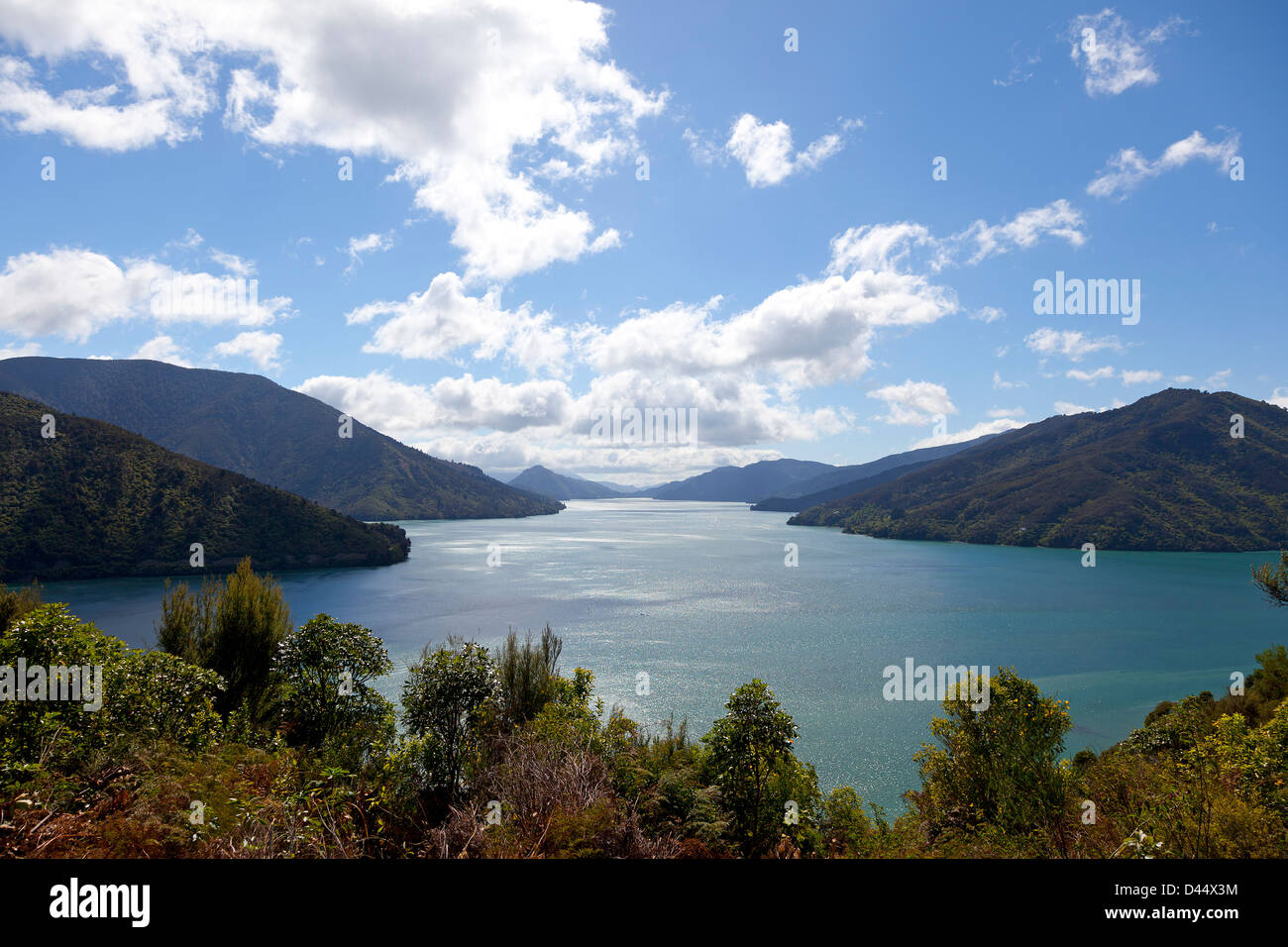 Marlborough Sounds Nuova Zelanda Isola del Sud della Nuova Zelanda Foto Stock