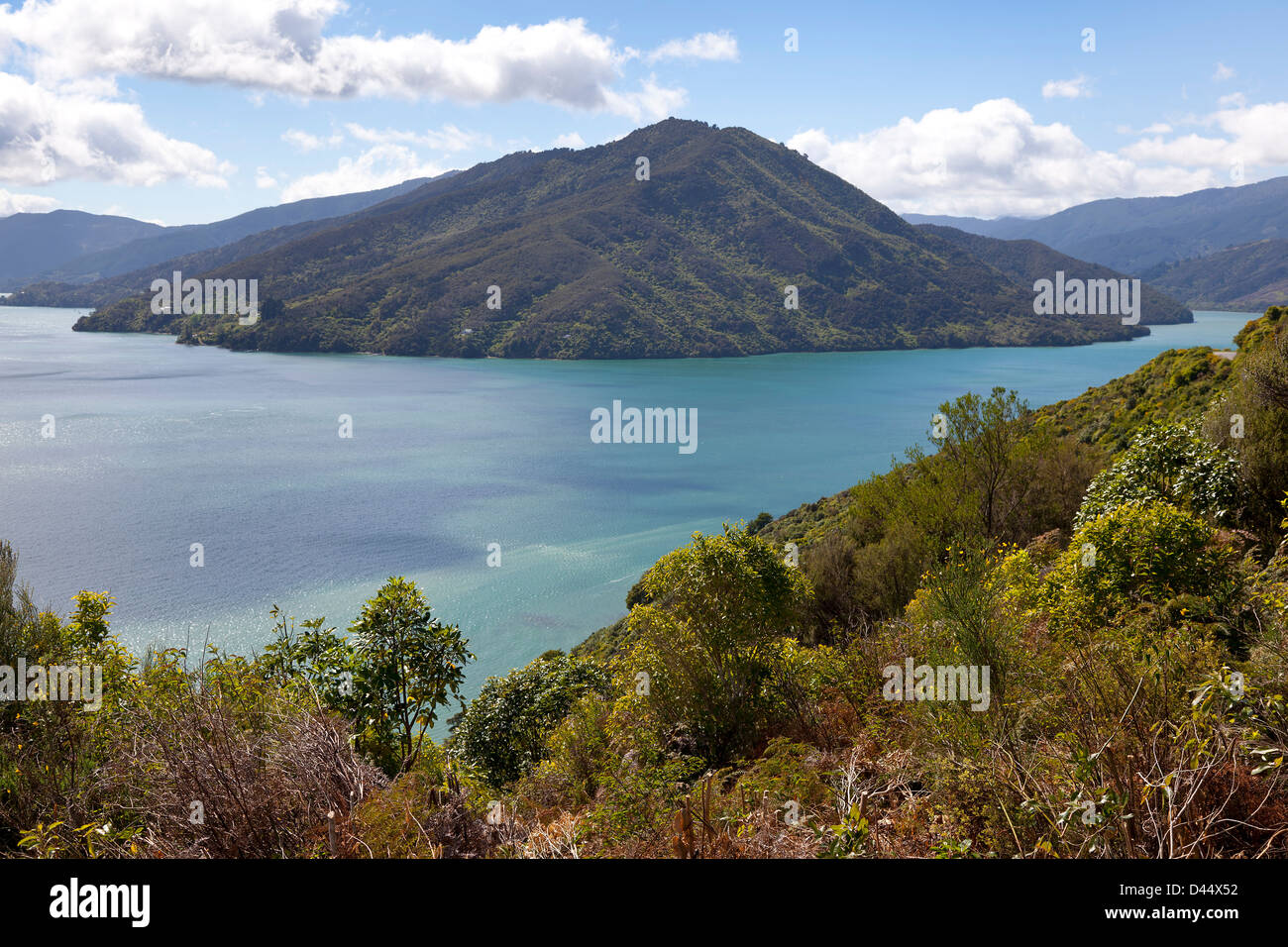 Marlborough Sounds Nuova Zelanda Isola del Sud della Nuova Zelanda Foto Stock