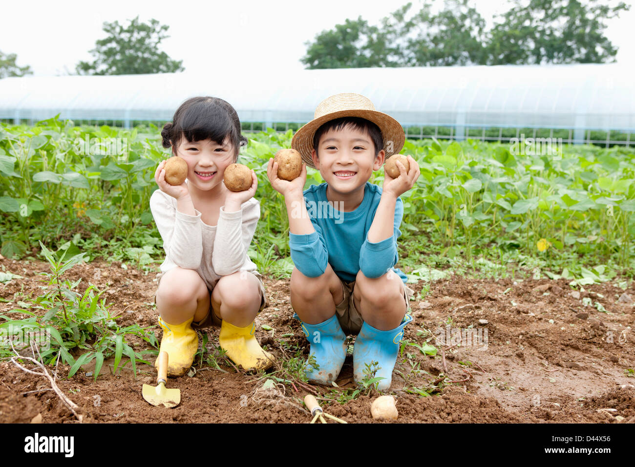 I bambini in una fattoria in posa con patate Foto Stock