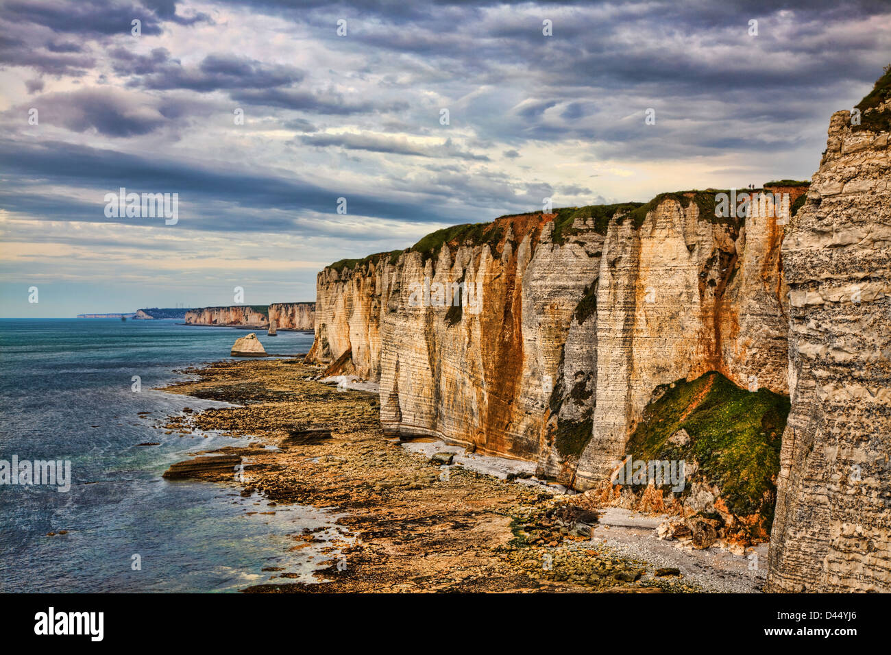 Scogliere specifici in Etretat nella regione Upper-Normandy nel nord della Francia, durante la bassa marea del tempo. Foto Stock