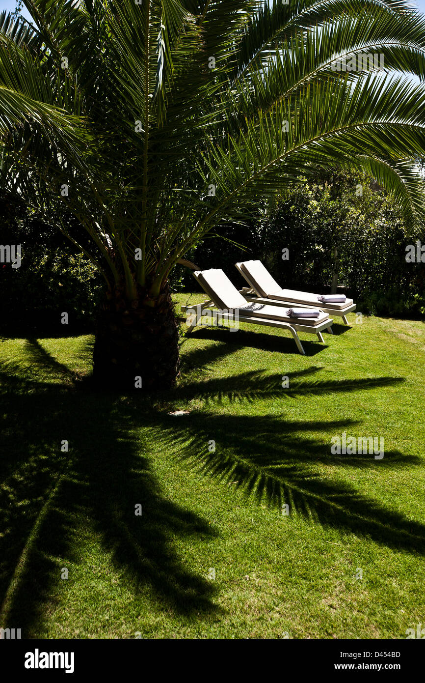 Due sedie a sdraio all'ombra delle palme, Sardegna, Italia Foto Stock