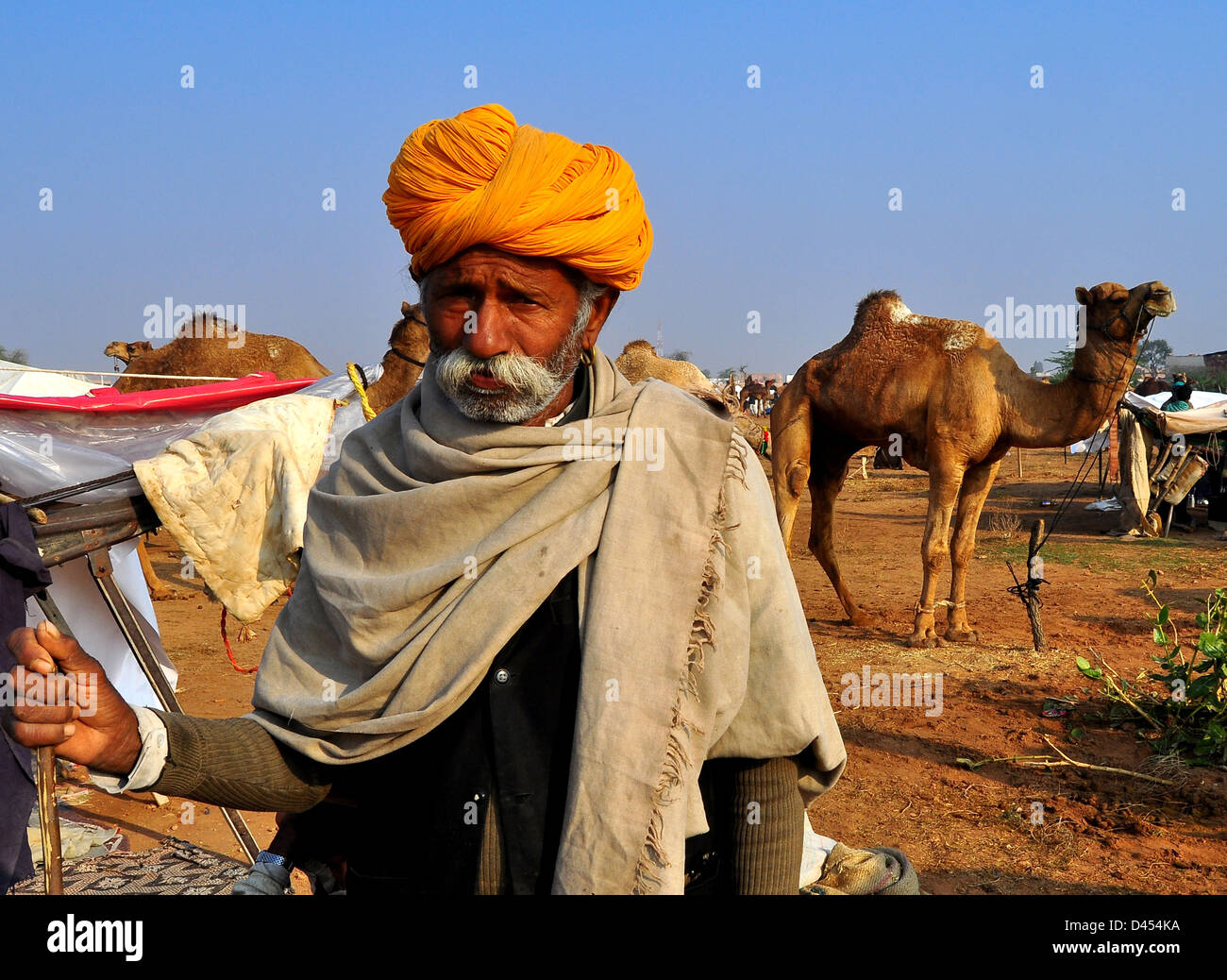 Un agricoltore sta con il suo cammello a nagaur fiera del bestiame in India occidentale il Rajasthan. Foto Stock