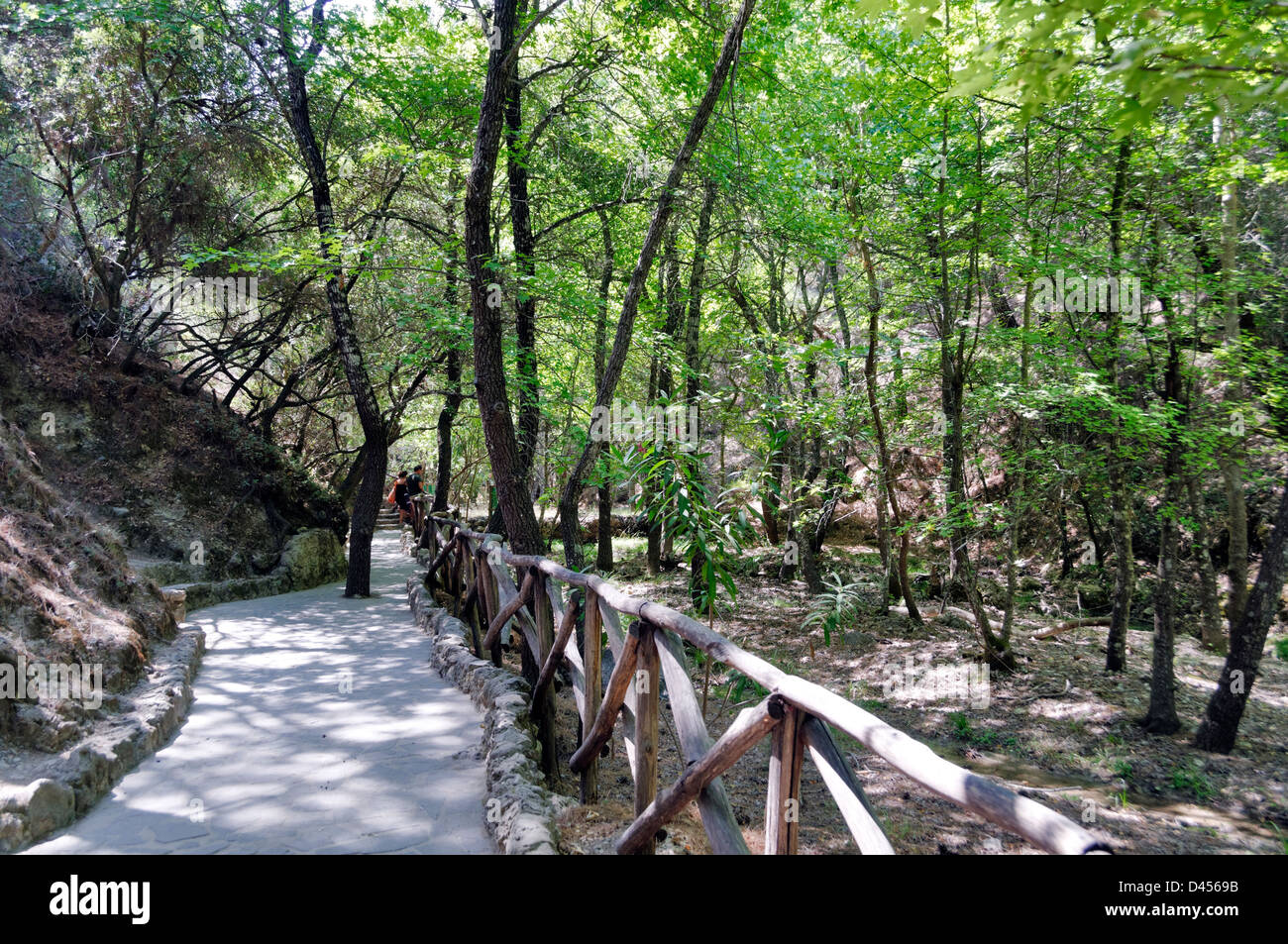 Rodi. La Grecia. Rustico, fresco verde paesaggio percorso nella Valle delle Farfalle (Petaloudes). Foto Stock