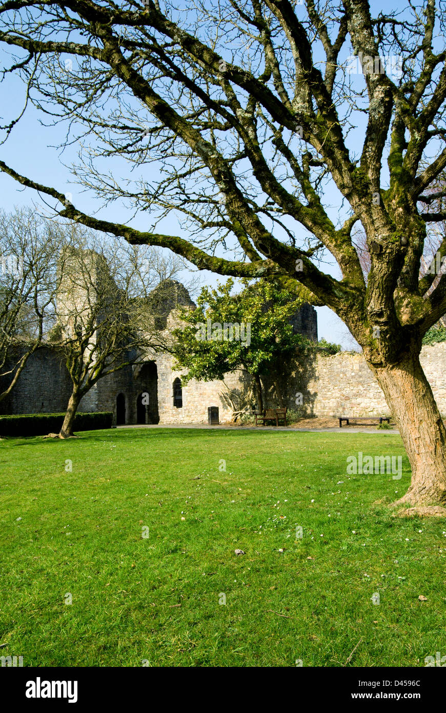 Rovine del vecchio Palazzo dei Vescovi, Llandaff, Cardiff, Galles. Foto Stock