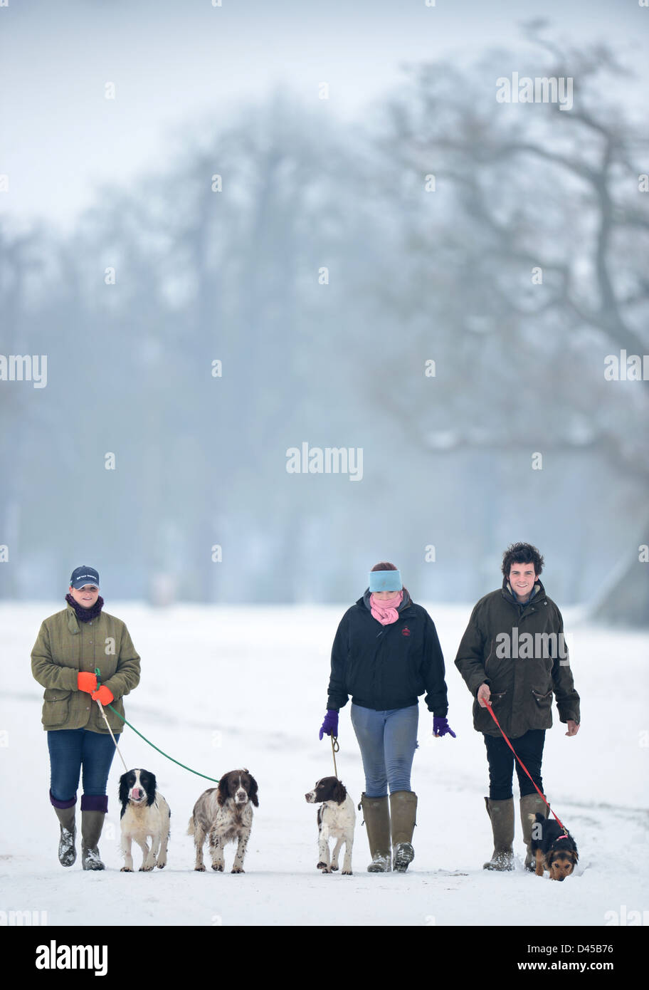 Tre giovani che esercitano i loro cani nel Parco di Badminton, GLOUCESTERSHIRE REGNO UNITO Foto Stock