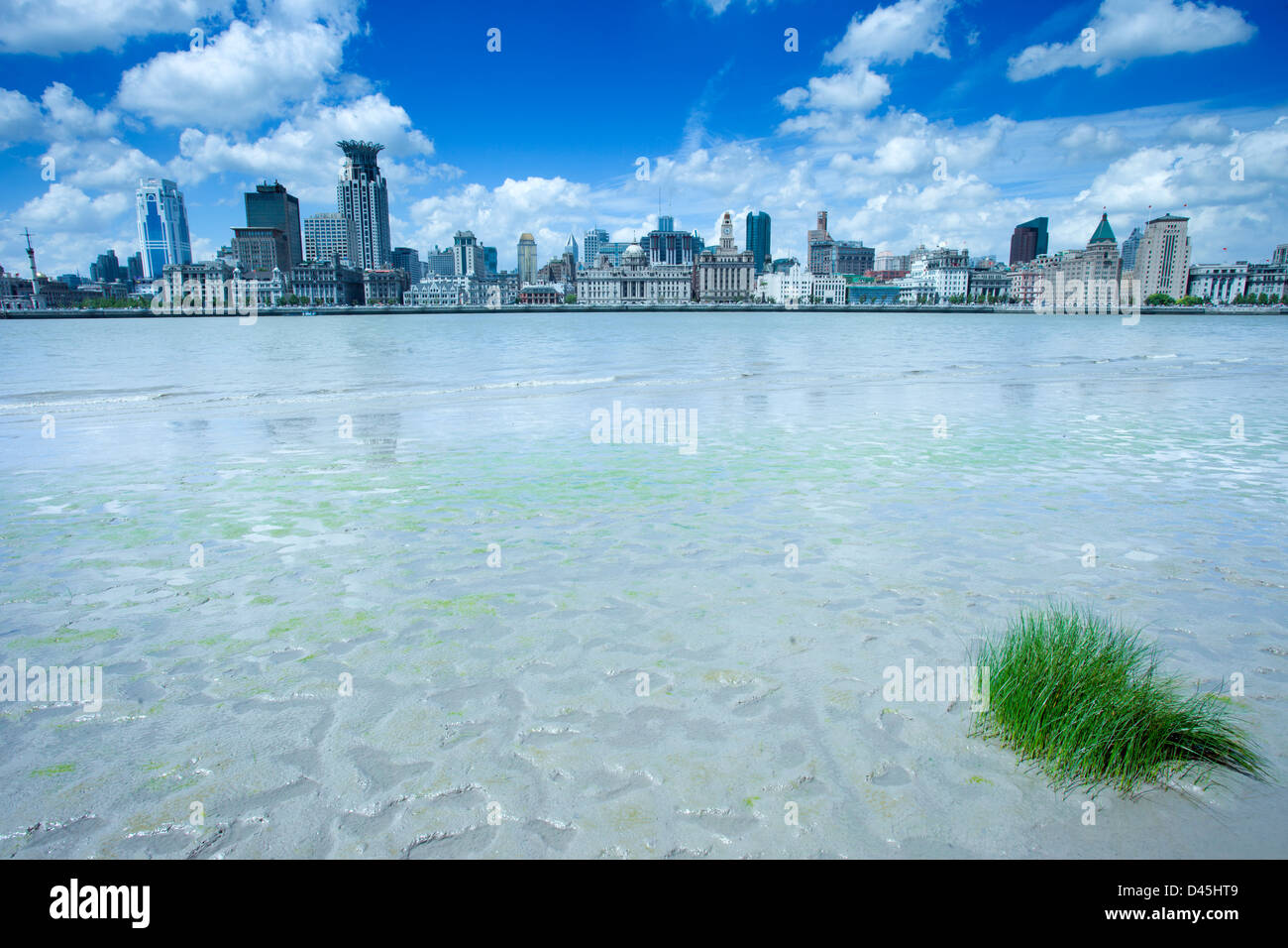 Verde erba che cresce in fiume Huangpu,di fronte con la Shanghai bund Foto Stock