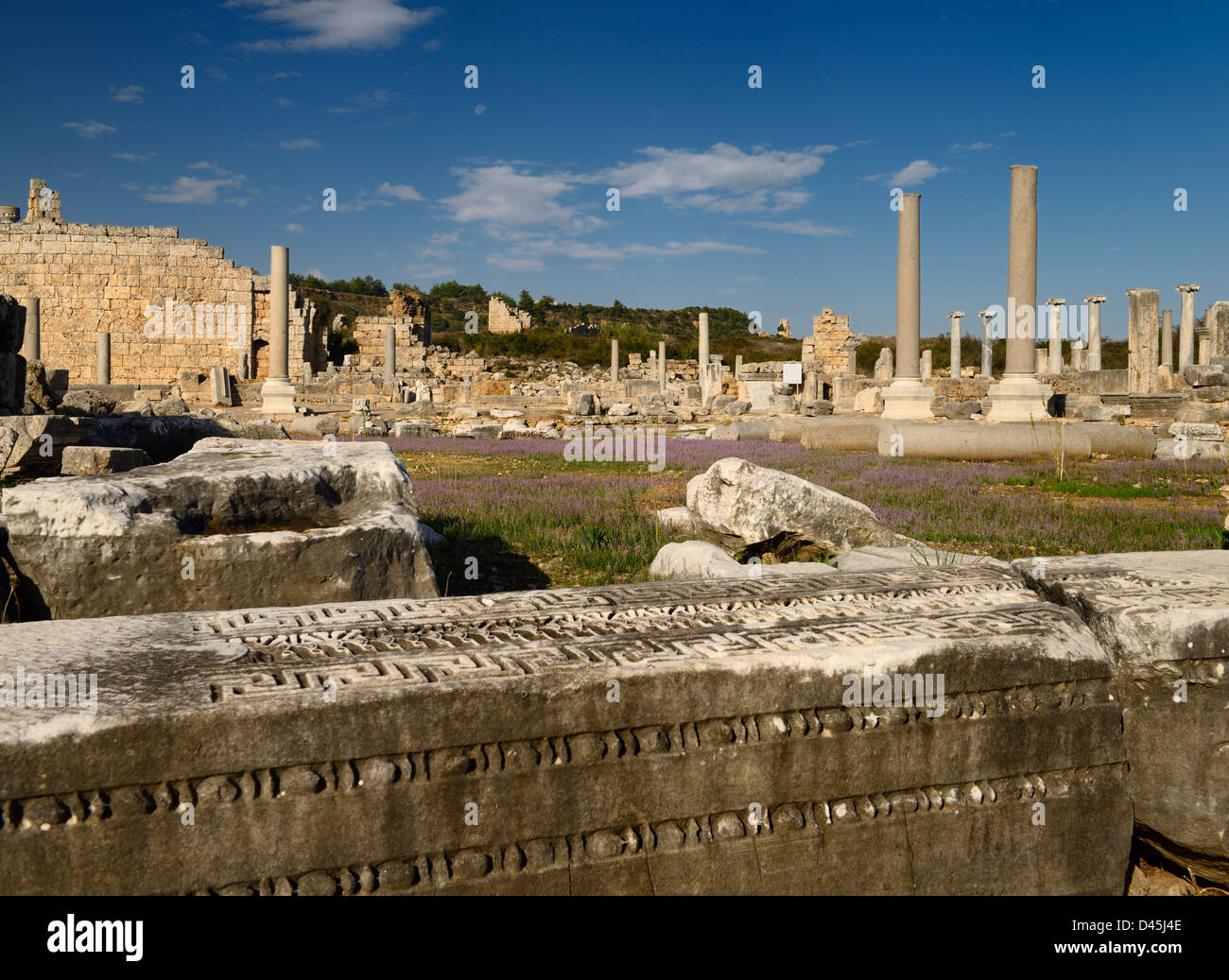 Pietra scolpita architrave nell'Agorà di Perge Turchia rovine con colonne e Porta Greca e lavanda Foto Stock