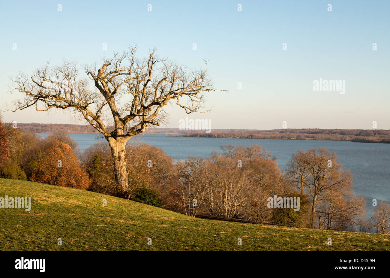 Il presidente George Washington a casa a Mount Vernon in Virginia all vista del Potomac da casa Foto Stock