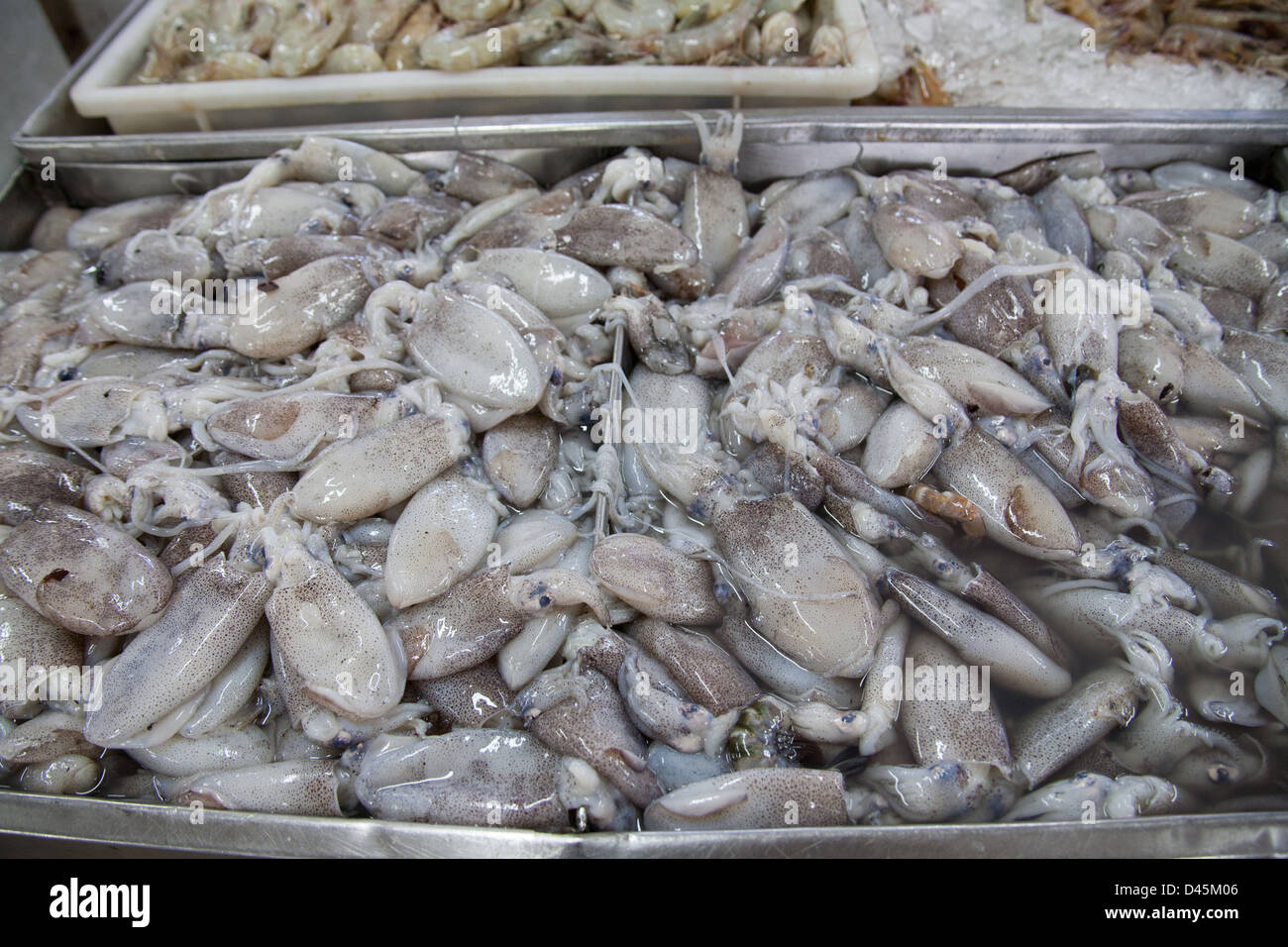 Pila di squid per la vendita al mercato del pesce nella città di Panama. Foto Stock