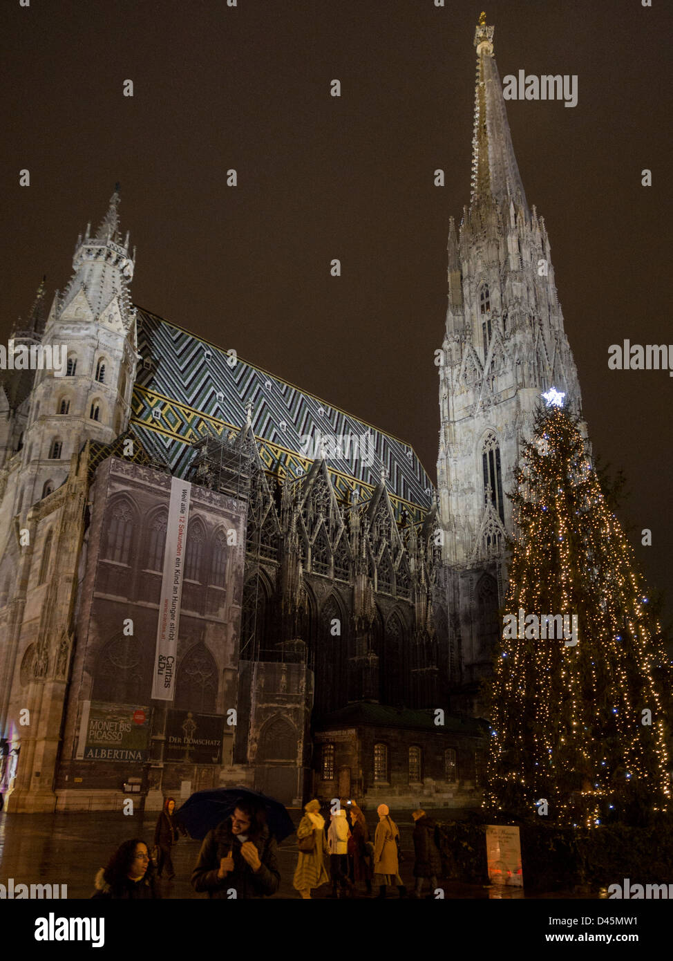 Serata a Stephansdom con albero di Natale. Una stella e rabboccato albero di Natale echos la forma della massiccia torre della cattedrale. Foto Stock