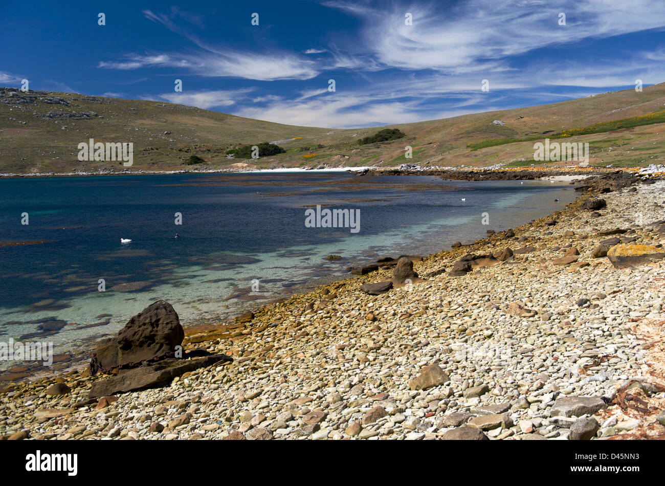 Una graziosa baia sulla West Point Island in West Falkland Foto Stock