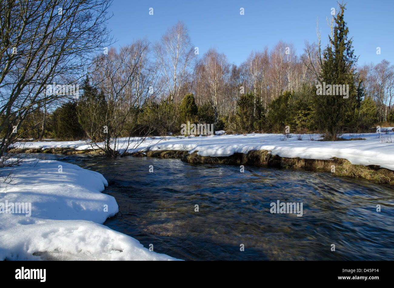 Lo streaming di acqua in un piccolo fiume a inizio primavera. Dall'isola svedese Öland. Foto Stock